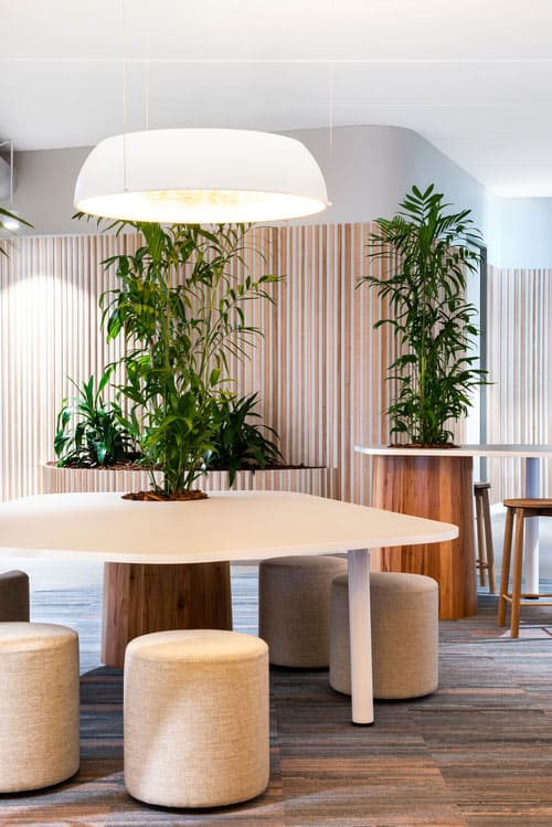Biophilic design in a healthcare reception area