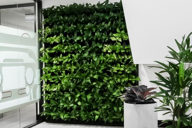 Modular Green Wall