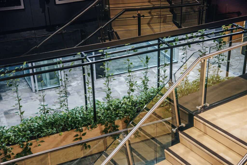 A view of indoor office plants from up the top of a staircase