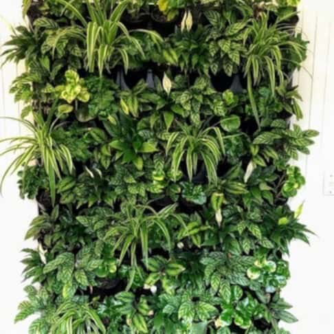 Modular green wall
