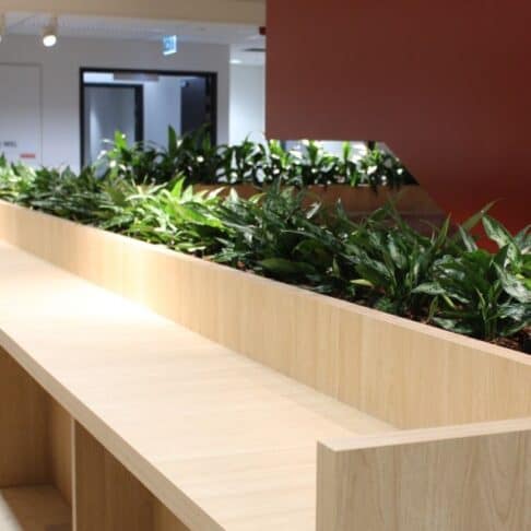 Office lounge area with bench joinery planter