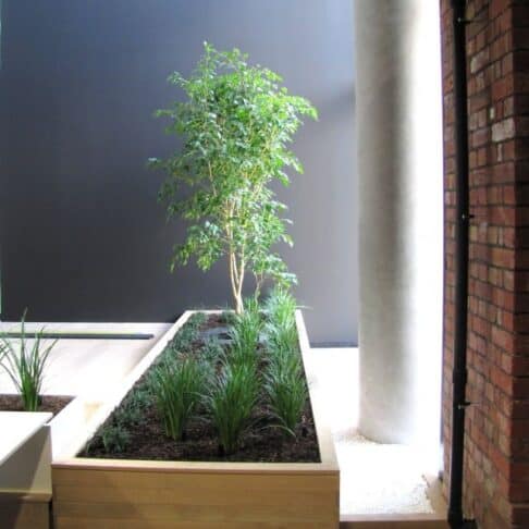 Indoor Garden Joinery