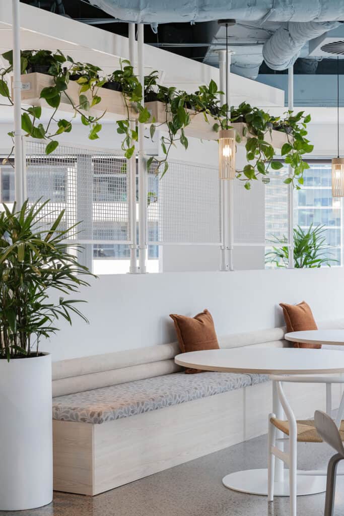 Indoor plants hung up hire over white and neutral dining space