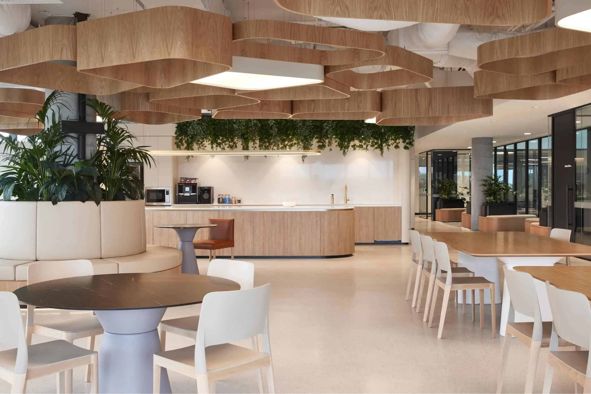 modern communal area in a corporate environment in Hobart with hired plants