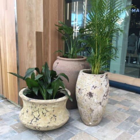 Large commercial planters with lush green plants