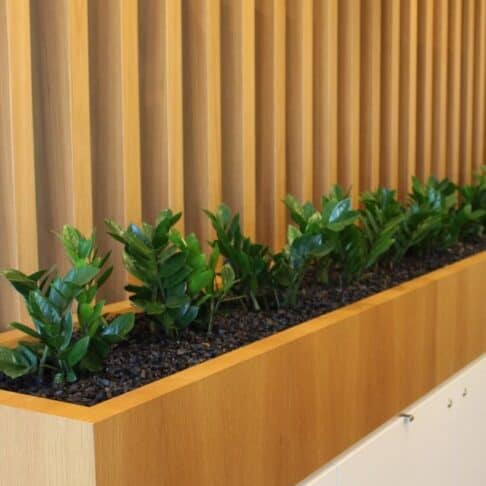 Reception Planter Joinery