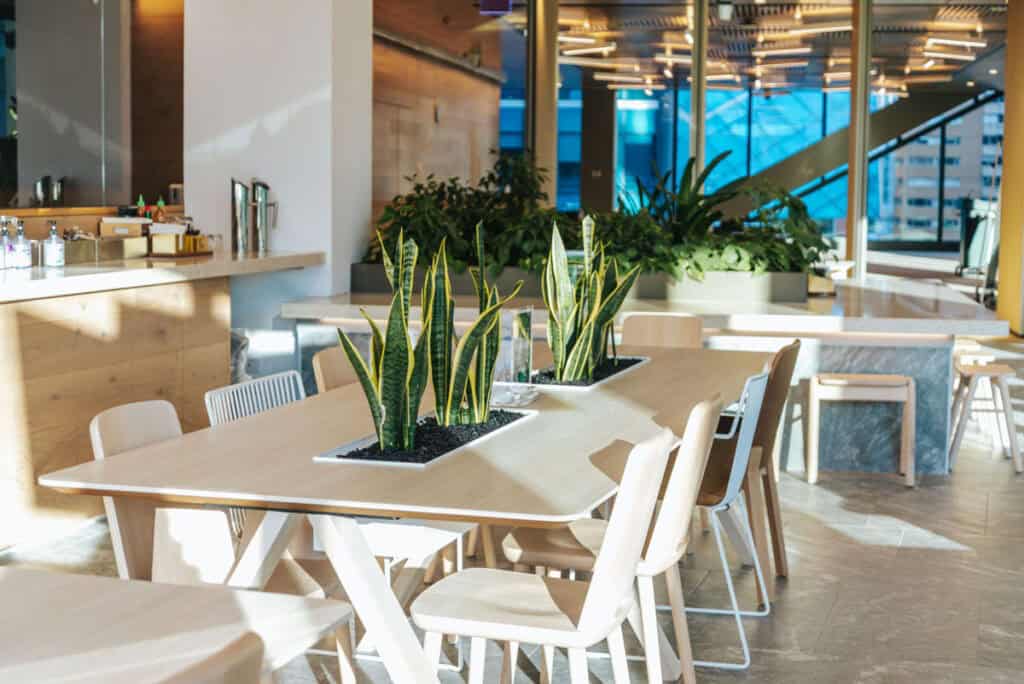 Plants in the middle of tables in an modern communal office space