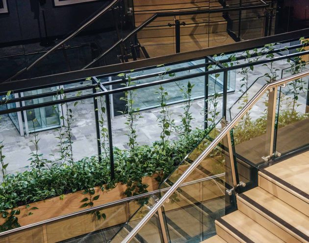 A view of indoor office plants from up the top of a staircase