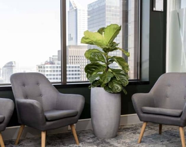 Tall grey floor planter with an indoor office plant in