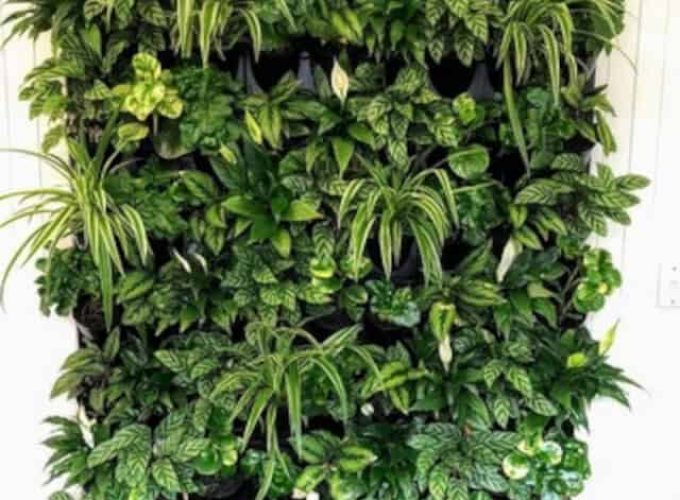 Modular green wall