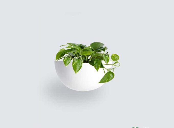 Half-Moon-Wall-Planter-1