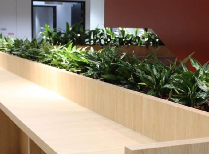 Office lounge area with bench joinery planter