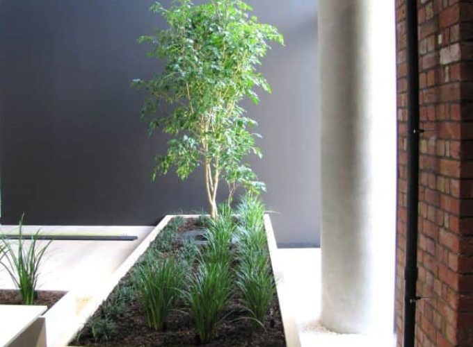 Indoor-Garden_640x760_acf_cropped