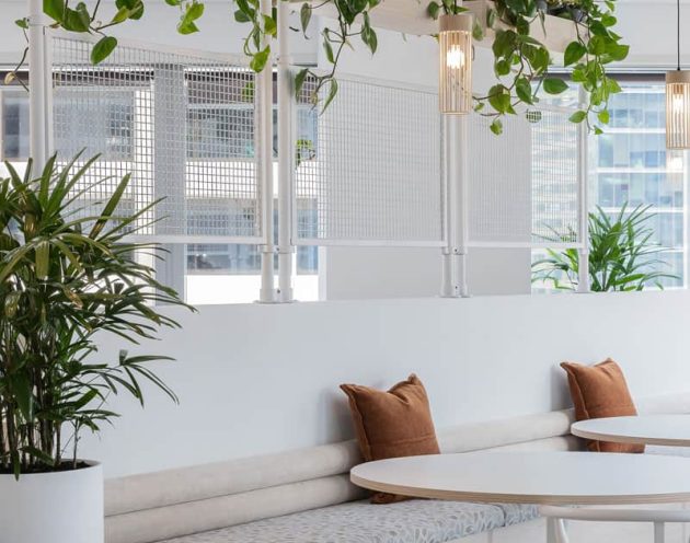 Indoor plants hung up hire over white and neutral dining space