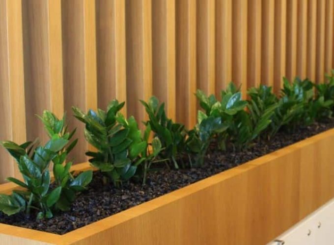 Reception-Planter_640x760_acf_cropped