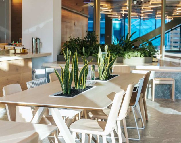 Plants in the middle of tables in an modern communal office space