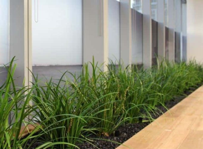 Window-Planter_640x760_acf_cropped