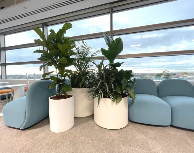 blue-chairs.jpg