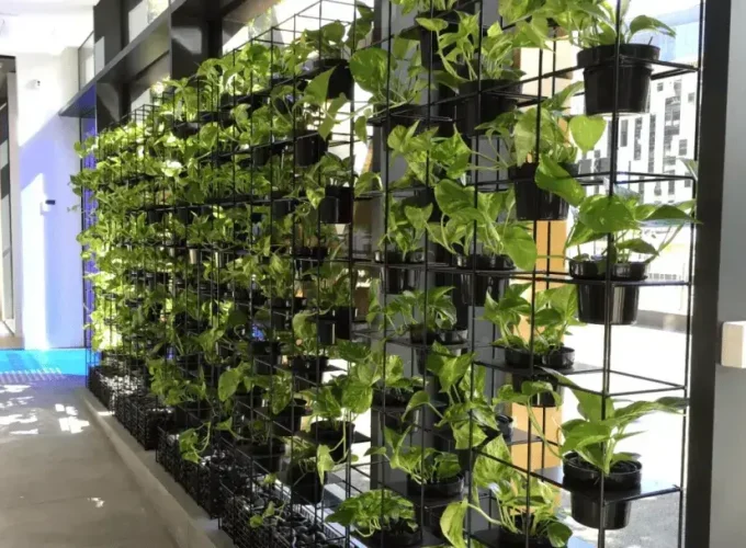 green-wall_1280x760_acf_compressed