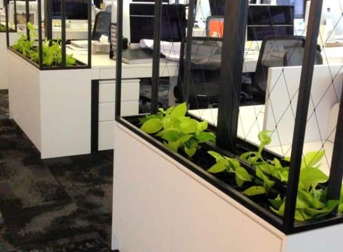 Plants in box planters being used to divide corporate office spaces