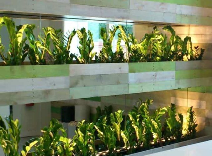 Three tiers of indoor green plants