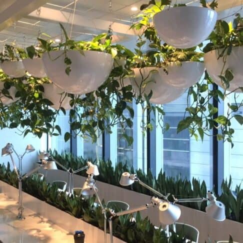 Half Moon Hanging Bowl