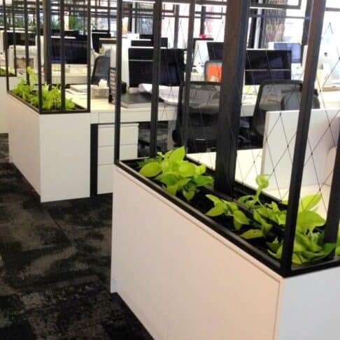 Plants in box planters being used to divide corporate office spaces