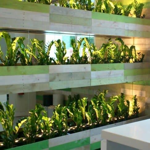 Three tiers of indoor green plants