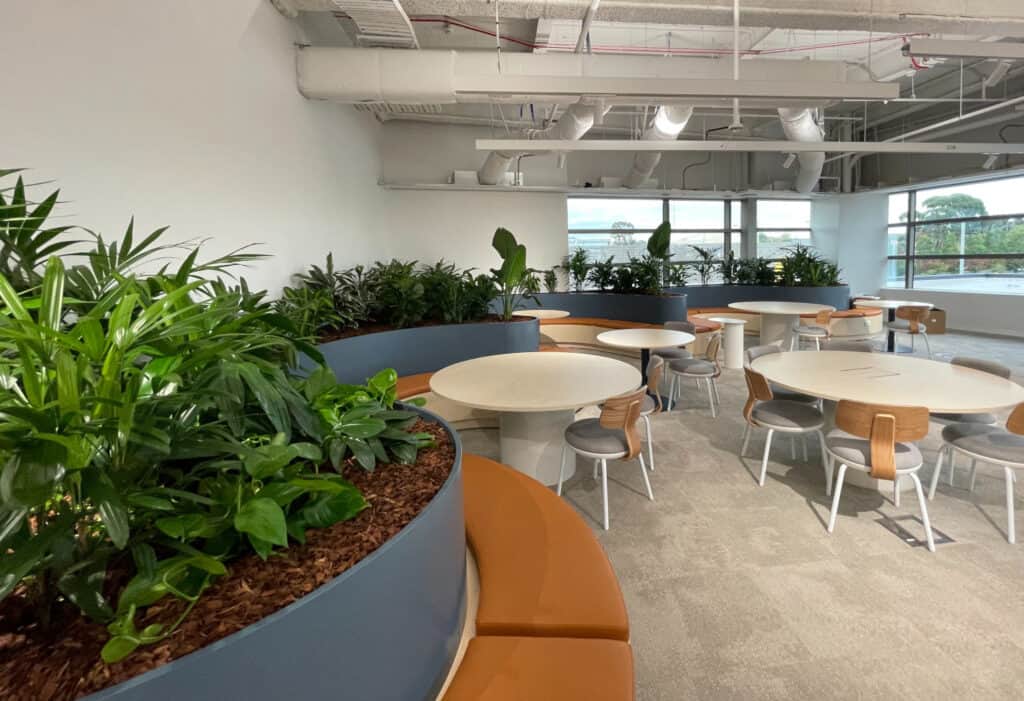 Staffroom in a corporate environment with indoor plants